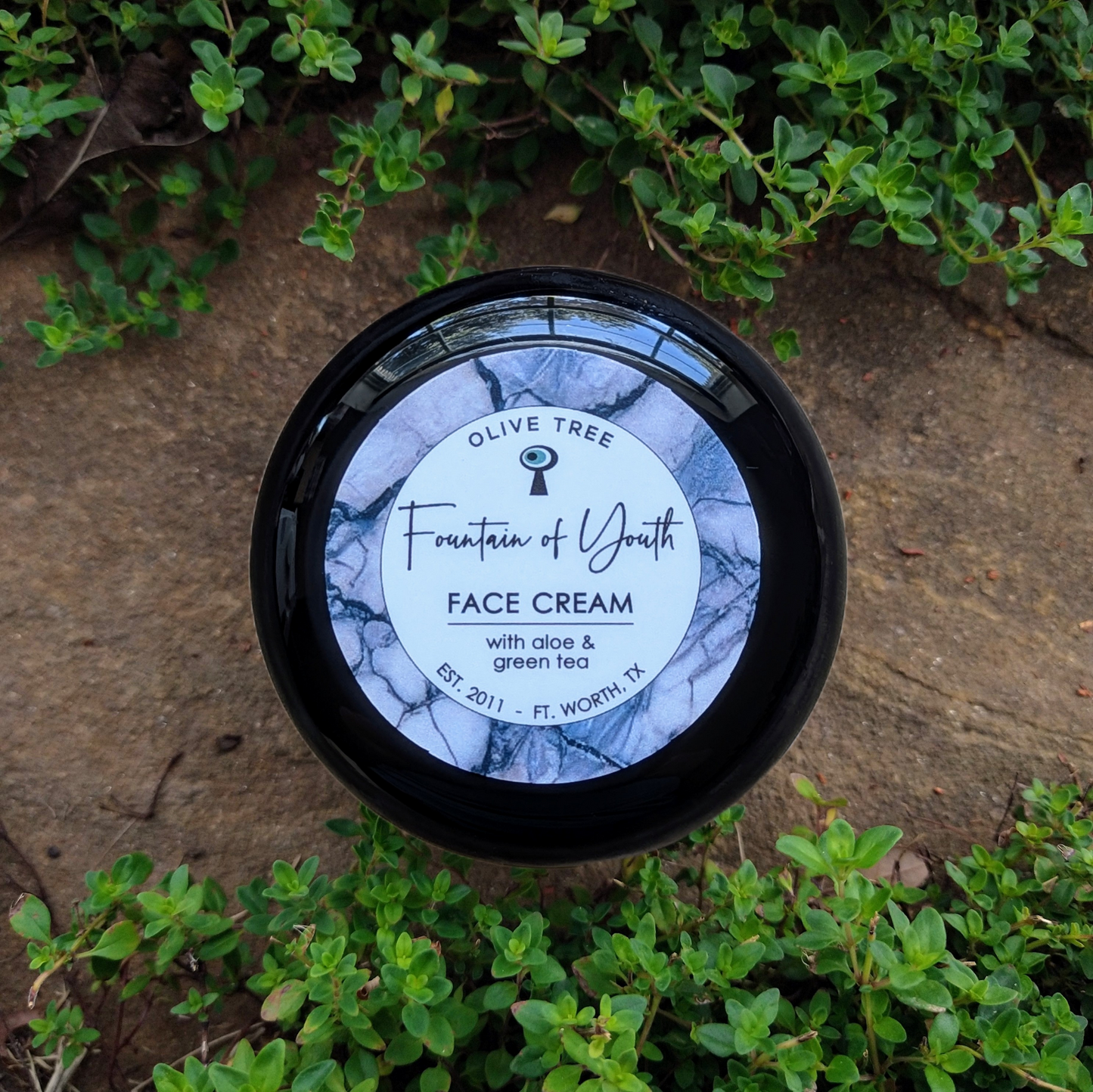 Fountain of Youth Face Cream