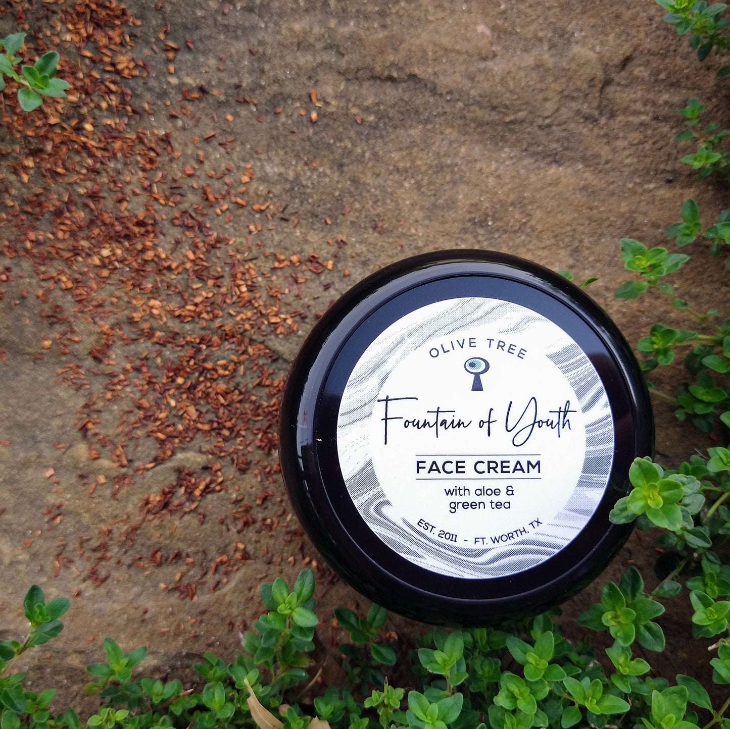 Fountain of Youth Face Cream